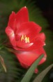 /album/fotogalerie-schoner-wohnen/j0145042-jpg/